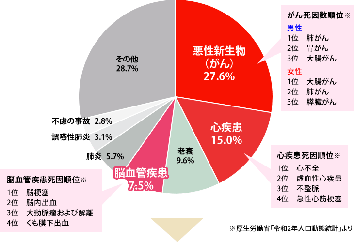 日本人の死因グラフ